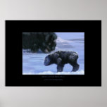 MUSK OX MOTHER & CHILD Art Print