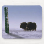 MUSK OXEN MOUSEPAD MAGIC Series