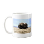 Musk Oxen mugs
