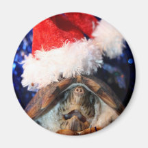 Musk Turtle Wearing Santa Hat Mouth Open Refrigerator Magnets