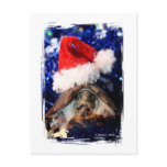 Musk Turtle Wearing Santa Hat Mouth Open Post Cards