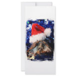 Musk Turtle Wearing Santa Hat Mouth Open Rack Card