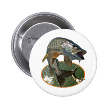 Musky 6 button