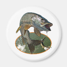 Musky 6 magnet