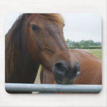 Mustang at Fence Mouse Pad