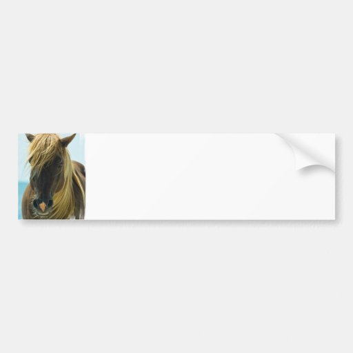 Mustang Bumper Sticker