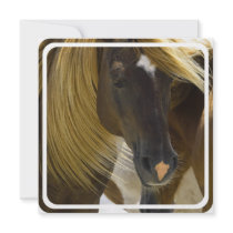 Mustang Horse Invitation