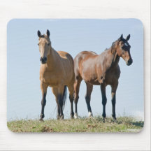 Mustang Horse Pair Mouse Pad