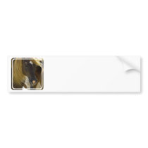 Mustang Horse Photo Bumper Stickers