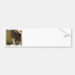 Mustang Horse Photo Bumper Stickers
