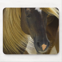 Mustang Horse Photo Mouse Pad