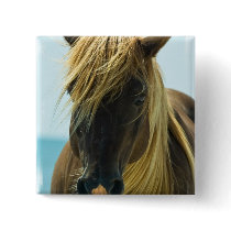Mustang Square Magnet Pins