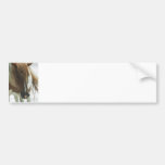 Mustang Wild Horse Bumper Sticker