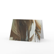Mustang Wild Horse Greeting Card
