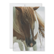 Mustang Wild Horse Invitation