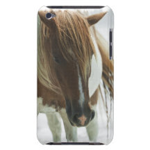 Mustang Wild Horse  iTouch Case iPod Case-Mate Cases