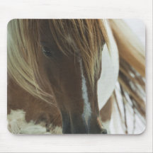 Mustang Wild Horse Mouse Pad