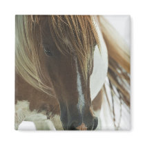 Mustang Wild Horse Square Magnet