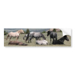 Mustangs bumper stickers