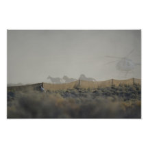 Mustangs in the Jute Chute Photo