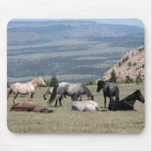 Mustangs Mouse Pad