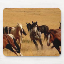 Mustangs Mouse Pads