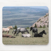 Mustangs Mouse Pads