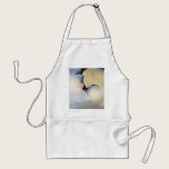 Mute Swan aprons