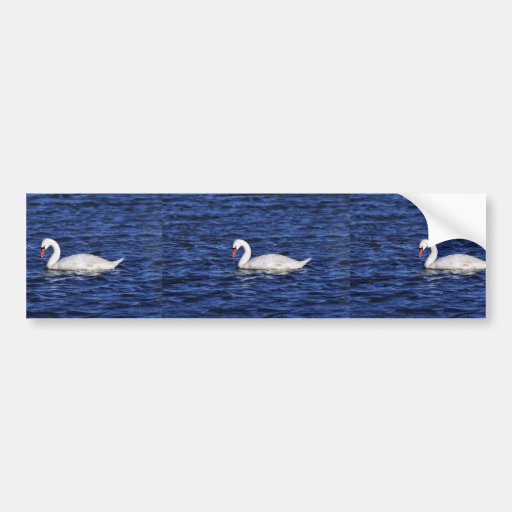 Mute Swan Bumper Sticker