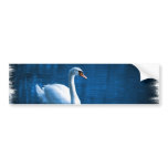 Mute Swan Bumper Stickers