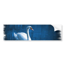 Mute Swan Bumper Stickers