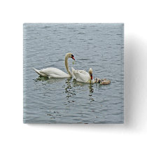 Mute Swan Famly Pins