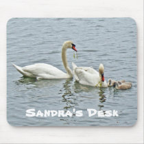 Mute Swan Famly Mouse Pads