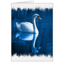 Mute Swan Greeting Card