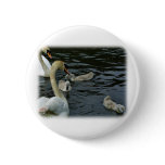 Mute Swans & Cygnets 9R054D-121 buttons