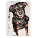 Mutt Love cards