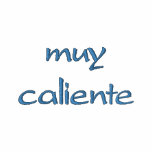 Muy Caliente Embroidered Shirt w/design on nape embroidered shirts