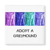 Mx4 Adopt a Greyhound Magnet