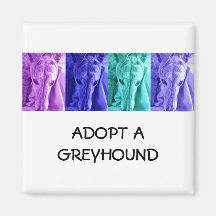 Mx4 Adopt a Greyhound Magnet
