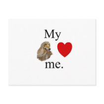 My afgan hound loves me. postcard
