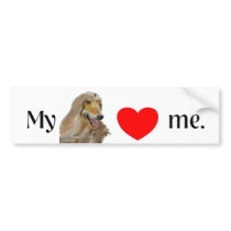 My Afgan loves me. Bumper Sticker