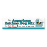My American Eskimo Dog is All That! bumper stickers