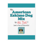 My American Eskimo Dog is All That! postcards