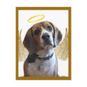 My Angel postcards