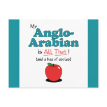 My Anglo-Arabian is All That! Funny Horse Postcard