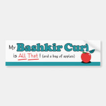 My Bashkir Curly is All That! Funny Horse Bumper Stickers