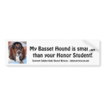 My Basset Hound is smarter than .....