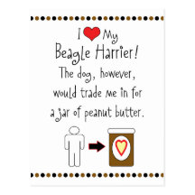 My Beagle Harrier Loves Peanut Butter Post Card