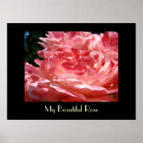 My Beautiful Rose art prints Pink Roses Love