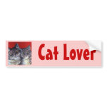 My Beautiful Tabby Cats bumper stickers